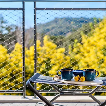 Daire Magnifique Cavaliere Terrasse 3 Garage *